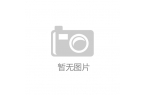 AG旗舰厅官方最新版AI 驱动金融乐高革